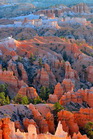 fotografie/landscapes/USA_Bryce Canyon_t.jpg